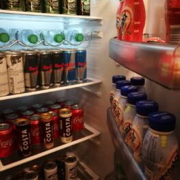 fridge